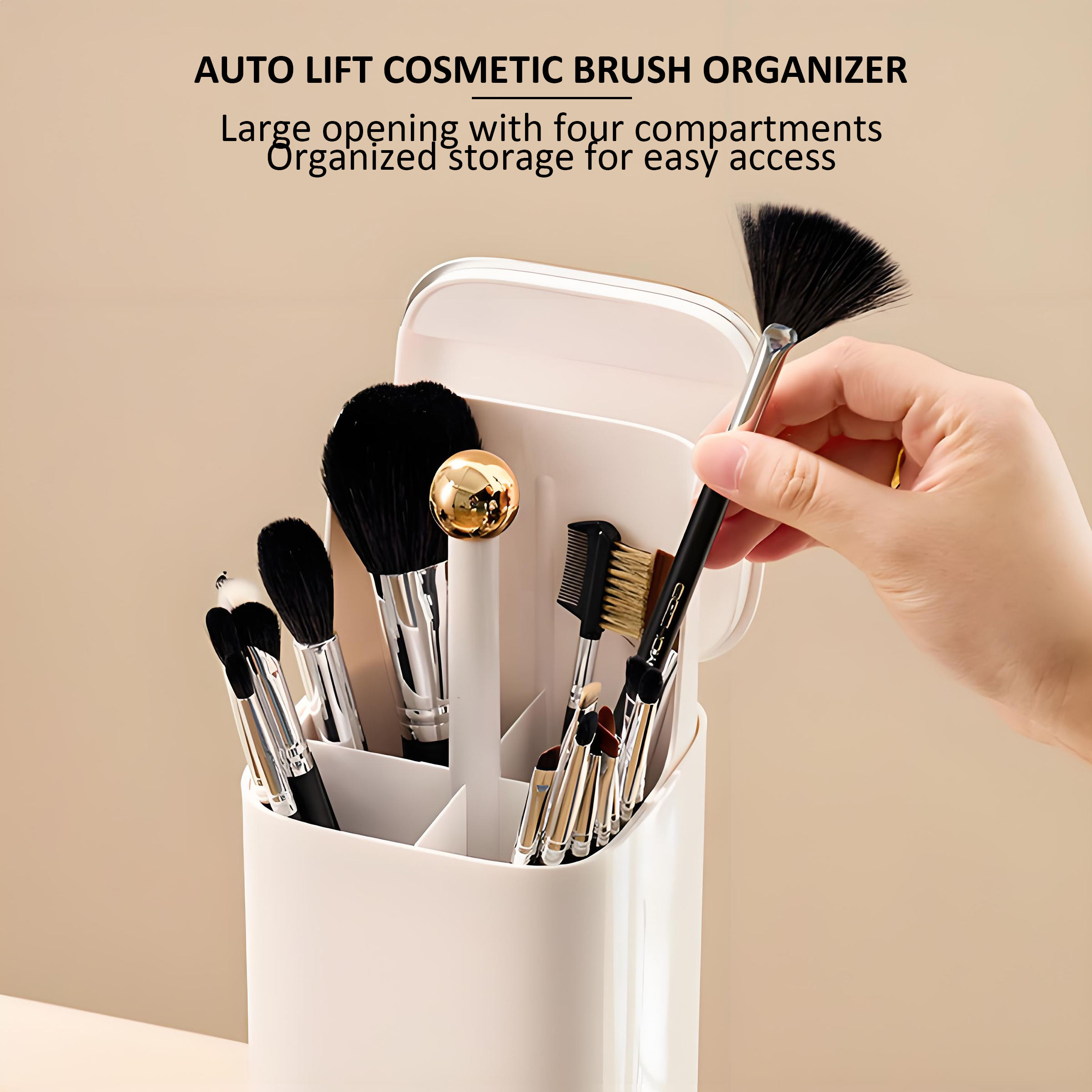 Organizer Box with Brushes